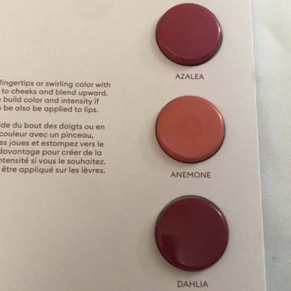 ⚡️FINAL PRICE⚡️ Rose Inc Blush Divine Lip & Cheek Color Sample Card - Picture 3 of 5